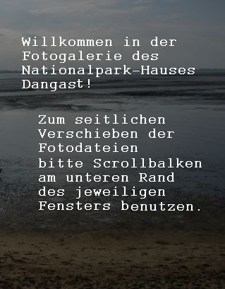 Seitliches Verschieben der Bilddateien im jeweiligen Fotofenster