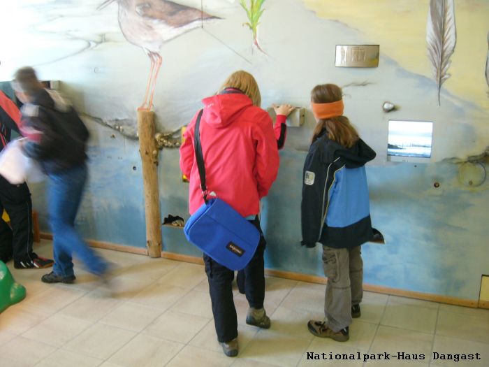Kinder-Erlebniswand im Nationalpark-Haus